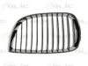 BMW 51137127227 Radiator Grille